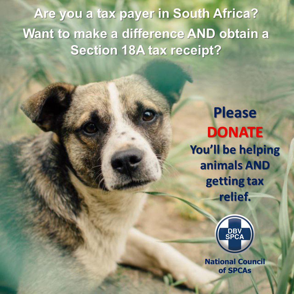 NSPCA_SA's tweet photo. Donate Today: https://t.co/JOBesBNhNQ https://t.co/O3hHR46BDW