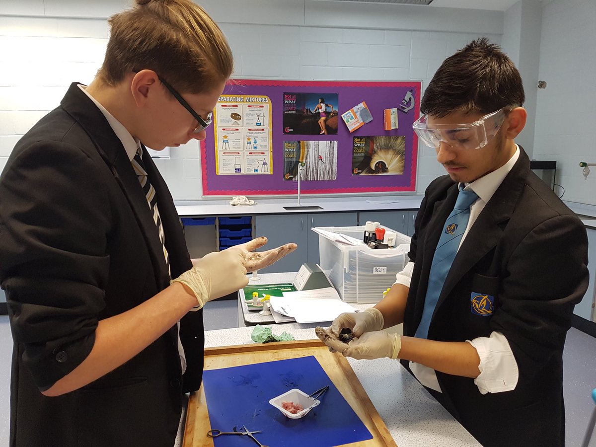 Nightingale_NTA's tweet photo. Super practical dissecting sheep's eye with Mr RAQ’s year10 class @Nightingale_NTA @NTA_STEM. Pupils had the chance to feel all the bits and pieces and experiment with shining light through them to see how they work. @AETAcademies @AETscience #wedoexperiments #experiment https://t.co/IcvzbI98Aa