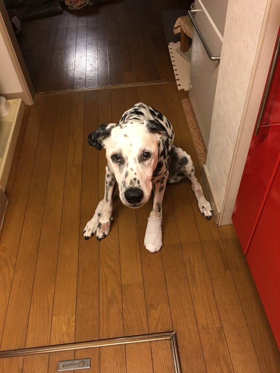 ERI@HAPPYACE!👾🐥 tweet media