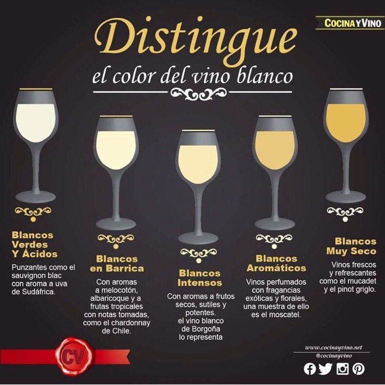 Disntingue los colores del vino blanco. Imprescindible en la fase visual de la cata. #WineLovers