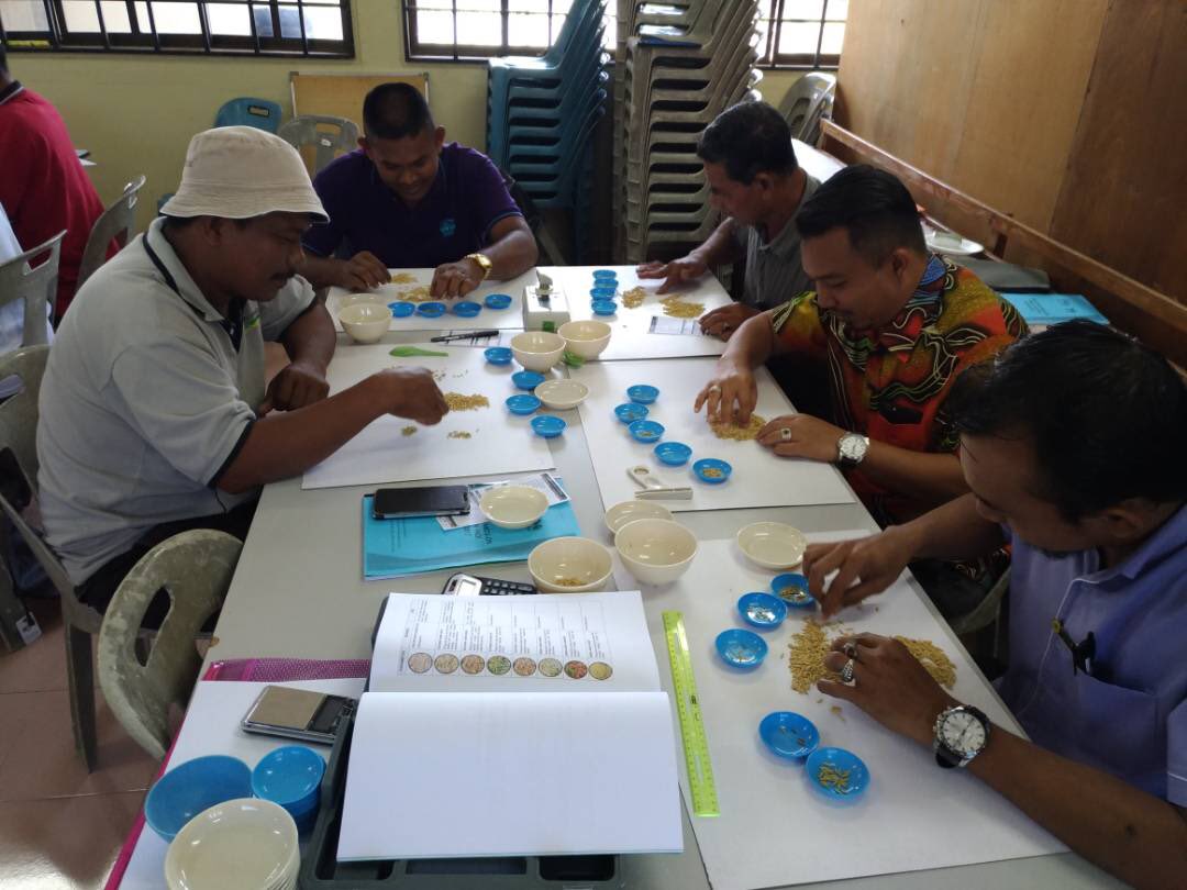 fizaarose's tweet photo. Program hands on pemutuan padi musim II/2017 siri 2 kepada penyelia NKEA dgn kerjasama pihak BERNAS dan Kawal selia Padi &amp; Beras di PPK C-II Kerpan

#madamabeles 
#madawil2 
#ourfoodourfuture https://t.co/oEKUDfts04
