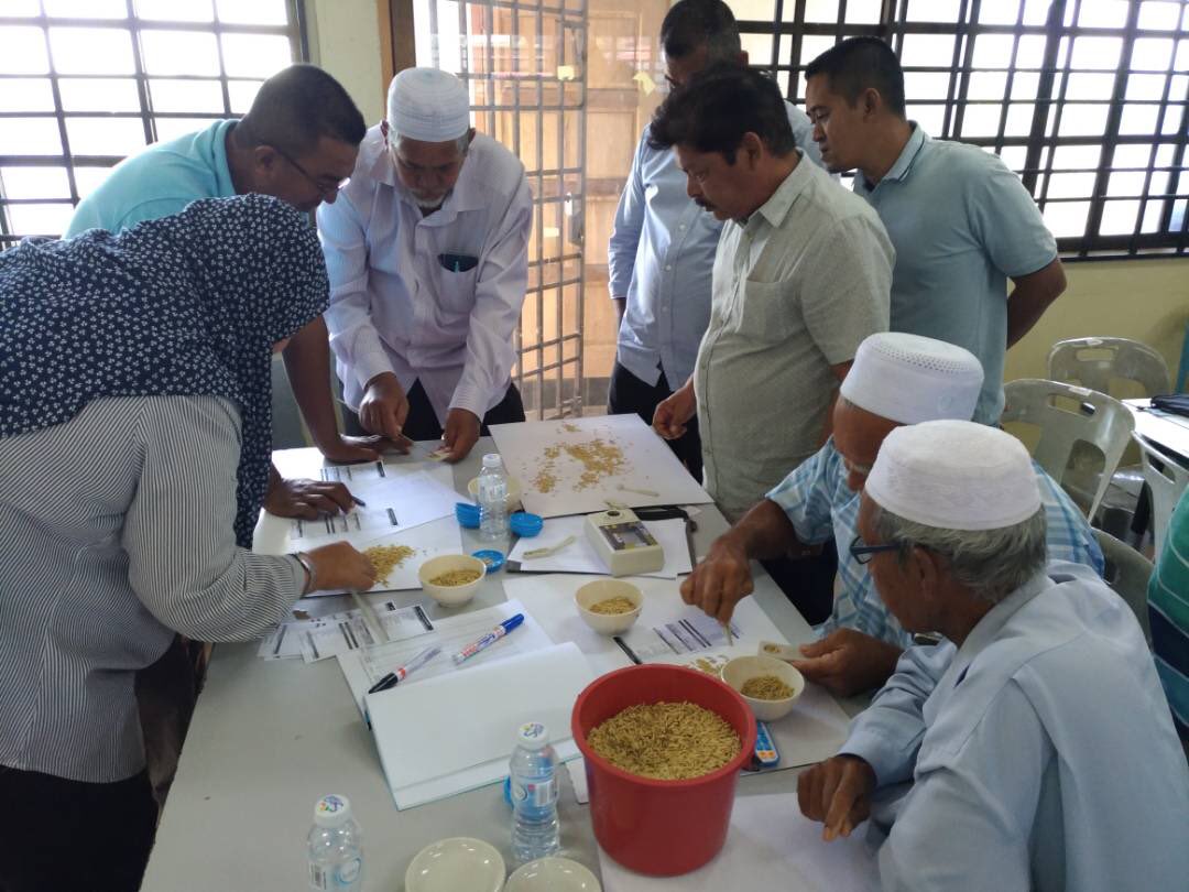 fizaarose's tweet photo. Program hands on pemutuan padi musim II/2017 siri 2 kepada penyelia NKEA dgn kerjasama pihak BERNAS dan Kawal selia Padi &amp; Beras di PPK C-II Kerpan

#madamabeles 
#madawil2 
#ourfoodourfuture https://t.co/oEKUDfts04