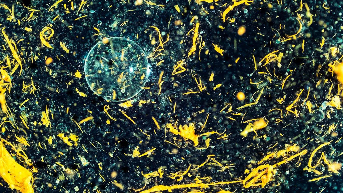 semaphoreprgrss's tweet image. The risks posed by #intelligentdevices will soon surpass the magnitude of those associated with natural disasters.
buff.ly/2E9VvM4? #MachineLearning #AI