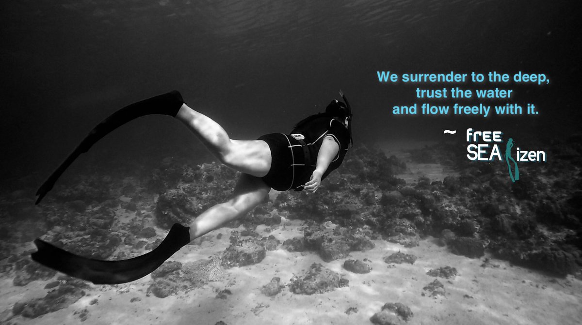freeseatizen's tweet photo. You will never experience true joy unless you go deep. 🤙🏻
#Skindive #Freedive #DivePhilippines #FreedivingPH #Skindiving #TravelPhilippines #FreeSeatizen #Aquaholics https://t.co/8ojYPkrH6a