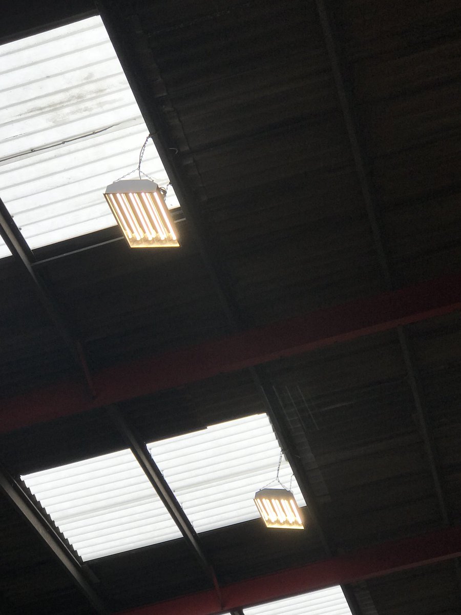 SCi Electrical Danny tweet media