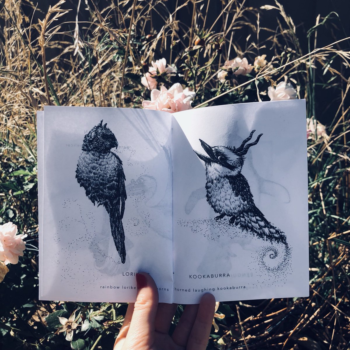 Jessica Jane tweet media