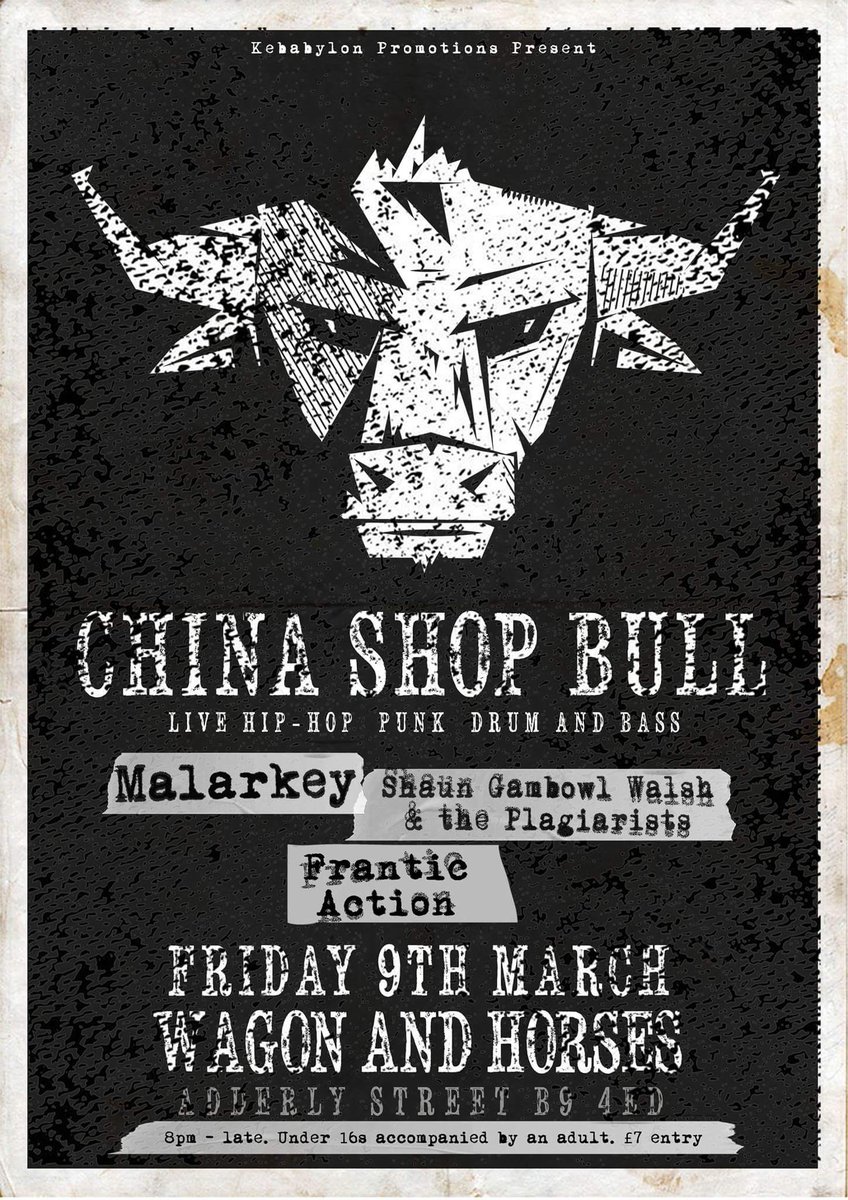 China Shop Bull tweet media