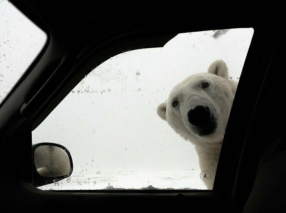 RamonMateos30's tweet photo. La nevada en Barcelona deja imágenes increíbles......
😂😂😂 https://t.co/ctxm8e2Xrn