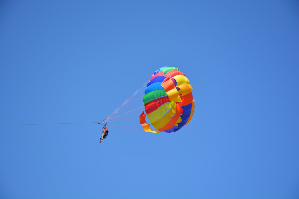 Islascanaria tweet media