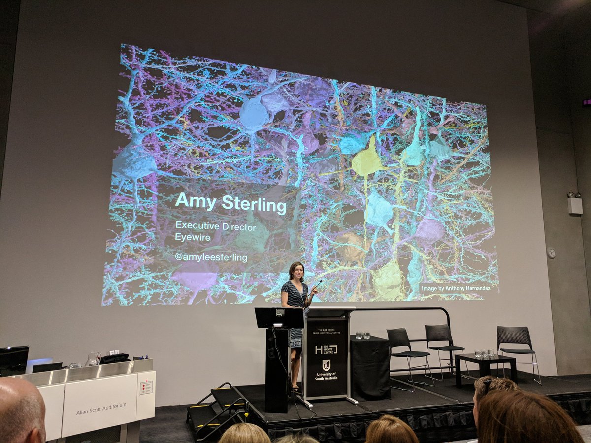 LandcareSA's tweet photo. Amazing #CitSciOz18 demo of #Eyewire mapping #neurons in the #brain by 250k #gamers from 150 countries linking #human effort with #MachineLearning https://t.co/mrlU1cbcTu