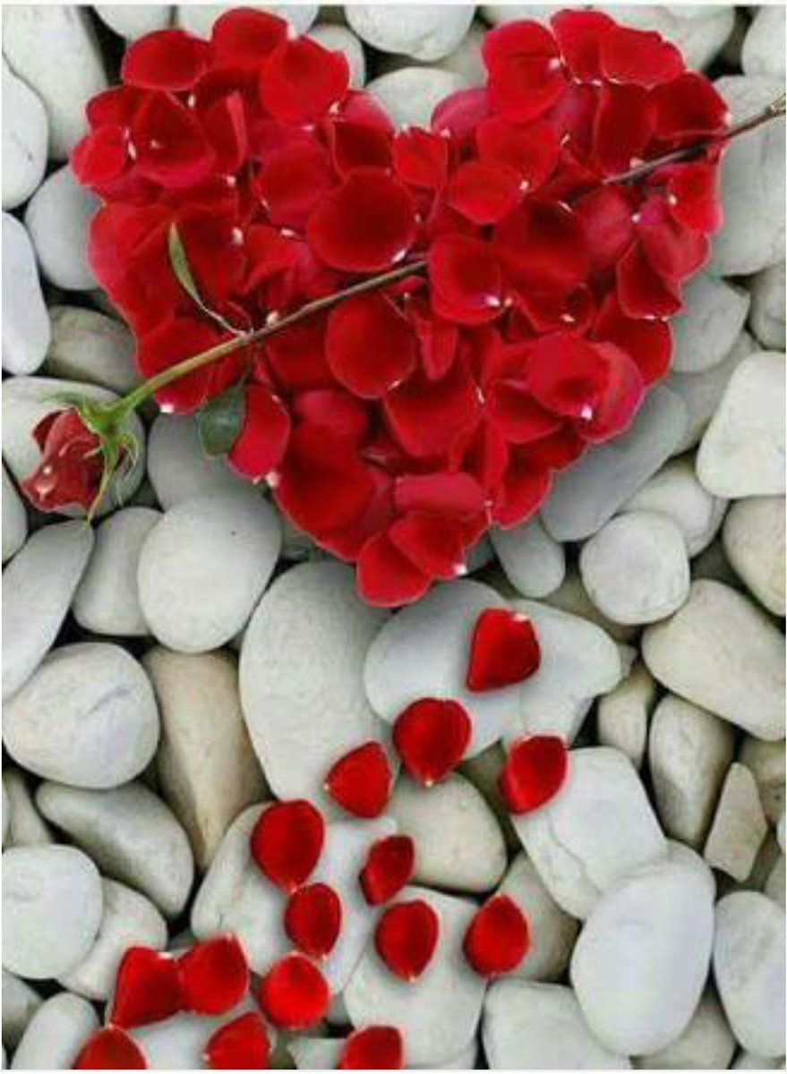 Eğer iyi bir kalbin varsa
Çok yardımseversin, çok güvenirsin
Çok cömertsin,çok seversin
Ve çok acı çekersin...