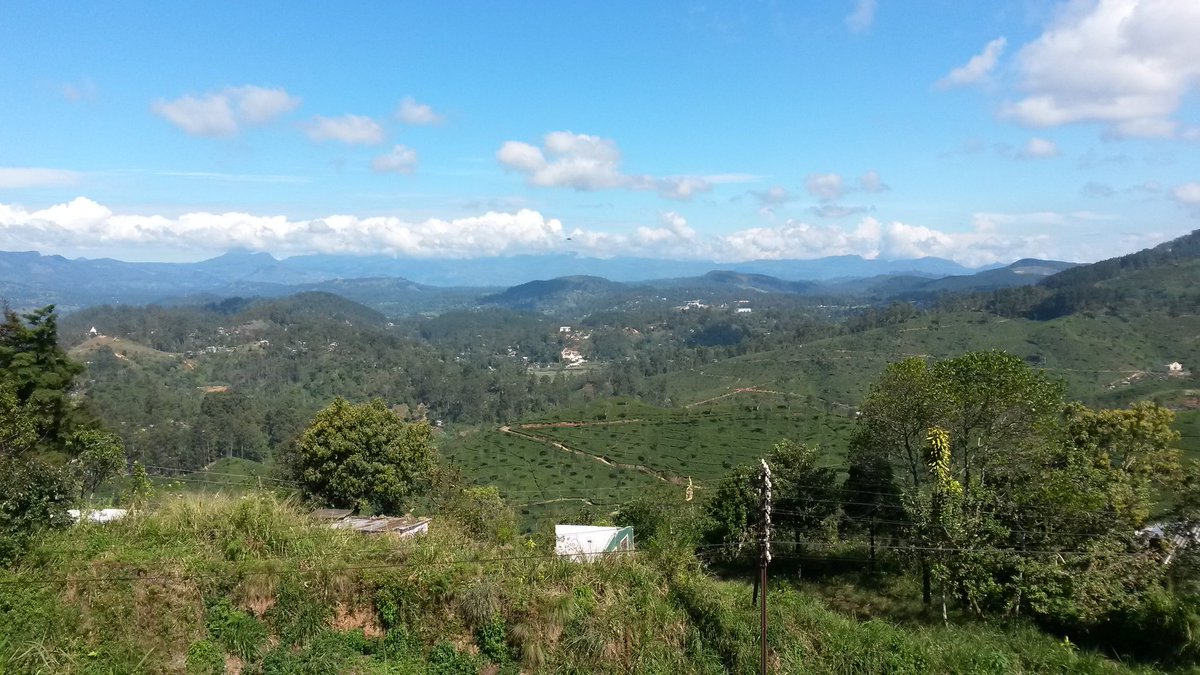 View over #Haputale #SriLanka this morning
