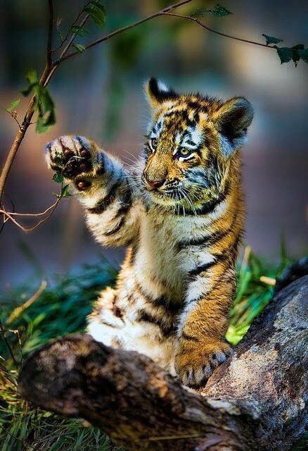 🌟✨🌟✨<a href="/04kazumi17/">kazumi ❤️</a> @pilitkd 🌟✨🌟✨🌟✨🌟 une bonne journée mes amies🌟✨🌟✨🌟✨