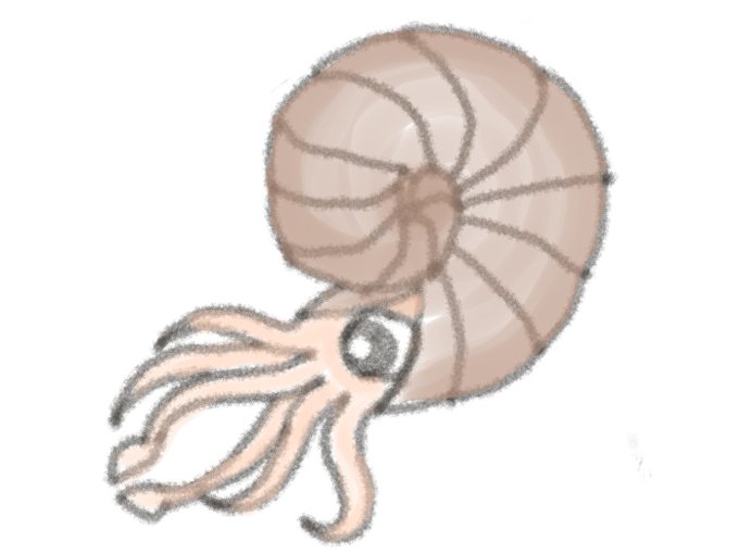 アンモナイトのtwitterイラスト検索結果 古い順 アンモナイトのtwitterイラスト検索結果 古い順