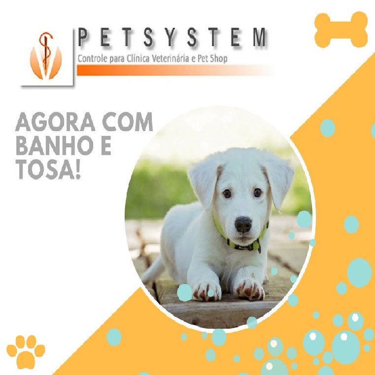 CIAFSolucoes's tweet image. Atualização #Petsystem 12 🐶🐕🐩🐈🐱
Nova versão disponível sem custo para clientes da versão 10.3 ou superior.
Uma das novidades é o Controle de BANHO🚿 E TOSA✂️. 
Além de melhorias de segurança e desempenho.
Lembre-se, se precisar de ajuda é só entrar em contato.