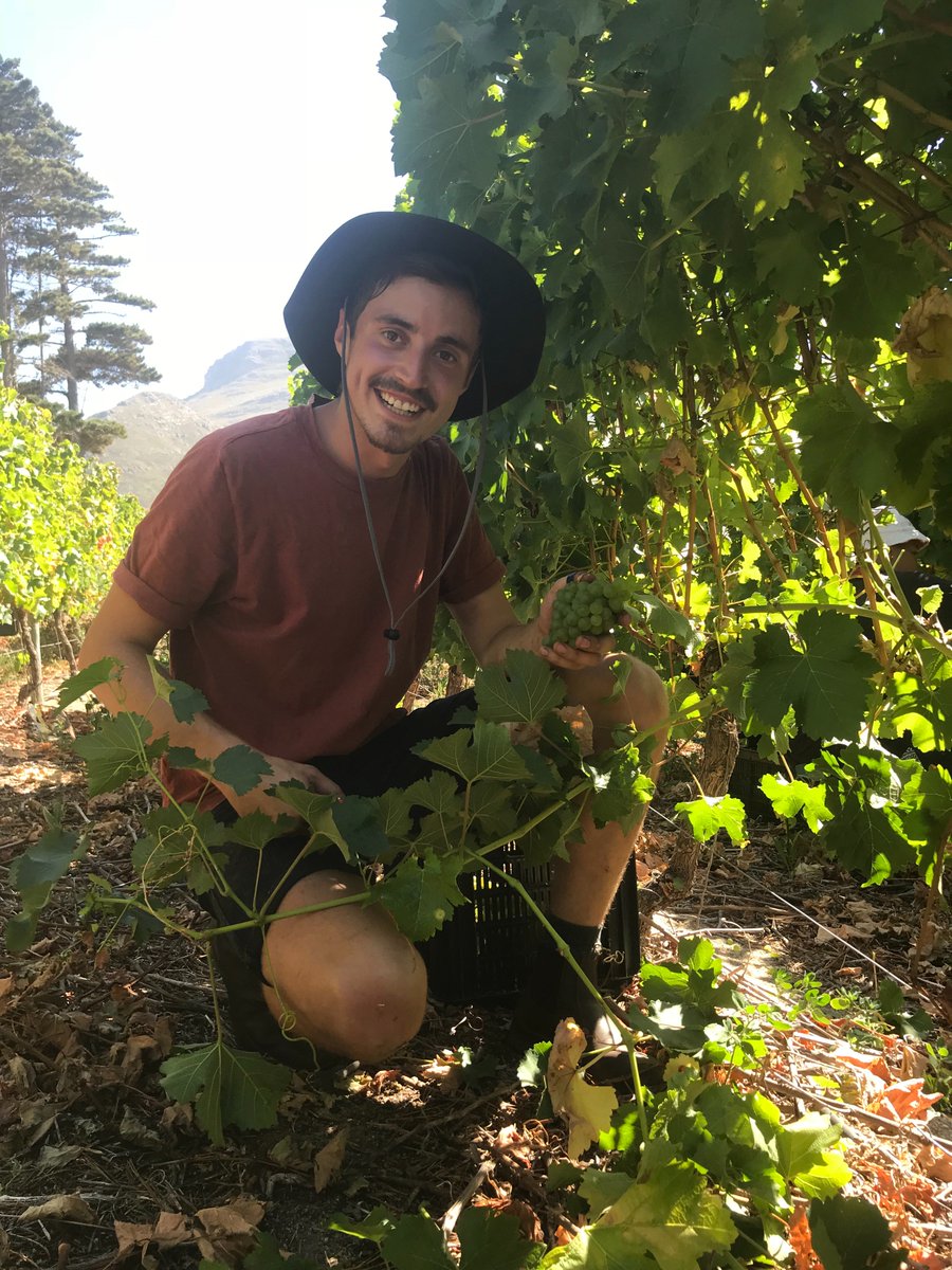 Riandri Visser (@_riandri_) on Twitter photo So proud of Assistant Winemaker <a href="/AdriaanDJacobs/">Adriaan Jacobs</a> ! In charge of this block of Sauvignon Blanc <a href="/CPVineyards/">Cape Point Vineyards</a> . He gave us the go-ahead to harvest today. Keep an eye on this guy. So proud of Assistant Winemaker <a href="/AdriaanDJacobs/">Adriaan Jacobs</a> ! In charge of this block of Sauvignon Blanc <a href="/CPVineyards/">Cape Point Vineyards</a> . He gave us the go-ahead to harvest today. Keep an eye on this guy.