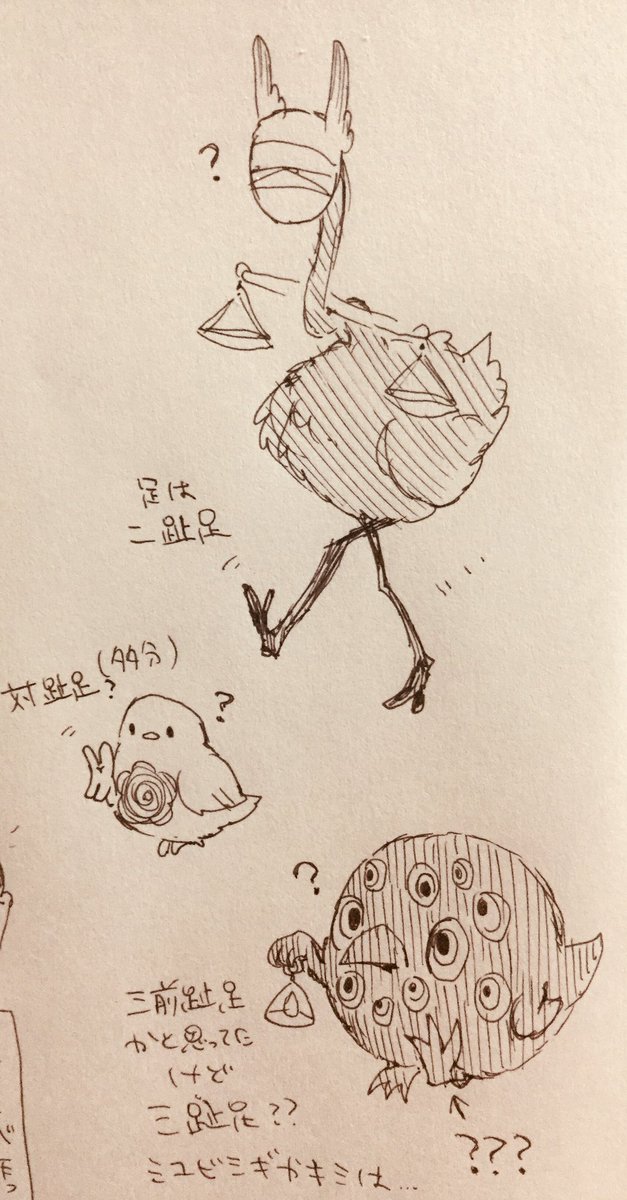 清 川 淀 武 Sur Twitter 審判鳥の嘴は無いのかそれともアンデスイワドリみたいに羽毛で埋もれて見えないのかとか考えながら走り書きしてたヤツ 今思ったけど審判鳥冠羽の位置包帯の位置と被ってるよねこれ間違いですねコレ