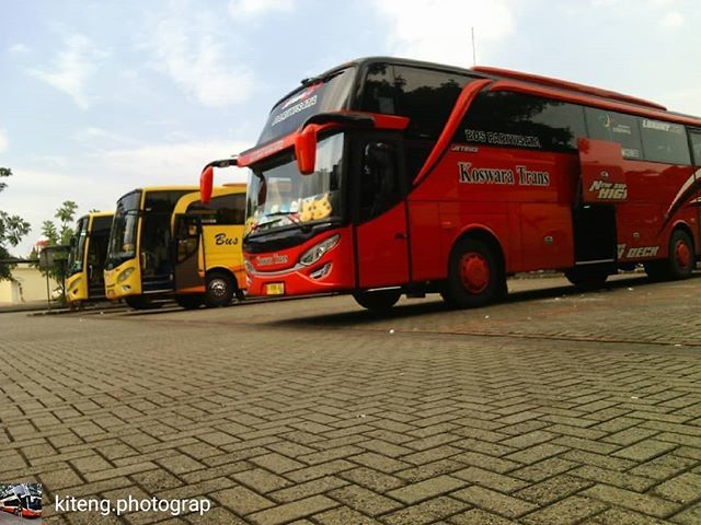 Jiwabus Hashtag On Twitter