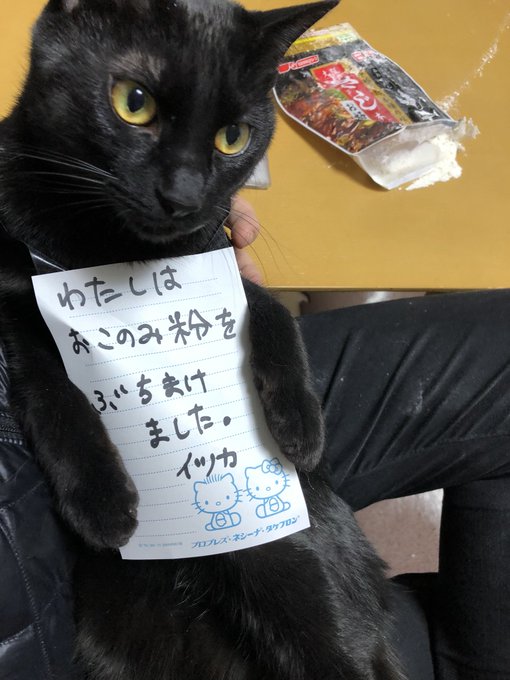 2018年, みんなを猛烈に和ませた『おもしろ猫ツイート』を振り返る 2018年, みんなを猛烈に和ませた『おもしろ猫ツイート』を振り返る