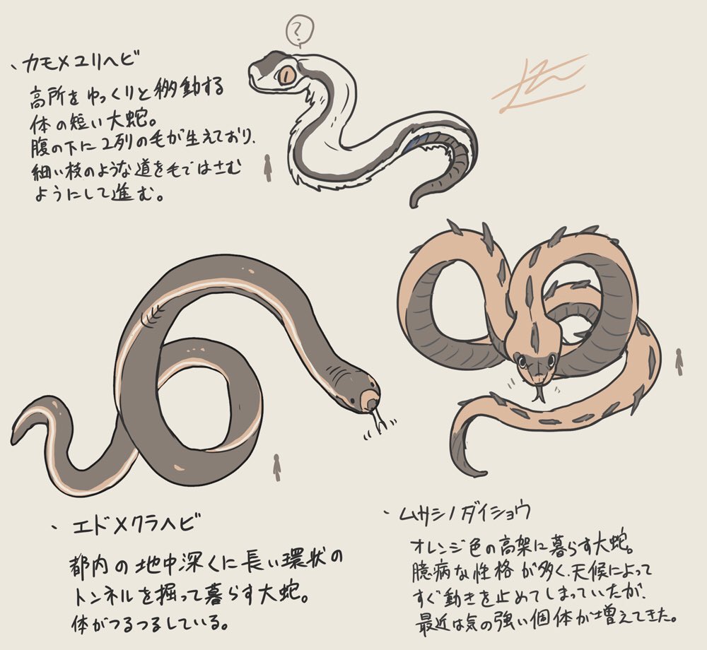 山村れぇ ﾃｨｱ137新刊 Pa Twitter カンノミドリヘビ以外の蛇たち一部 東京には特に多くの種類の都市蛇たちが住んでいます 東京creatures Https T Co Dfsdh04hkx Twitter
