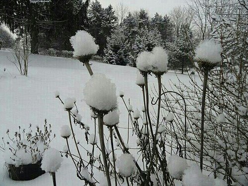 SceneryPicture's tweet photo. Snow-capped || #landscape #nature #photography #scenery || https://t.co/uOcf7Mn1MB || https://t.co/Ys1oK76KbD