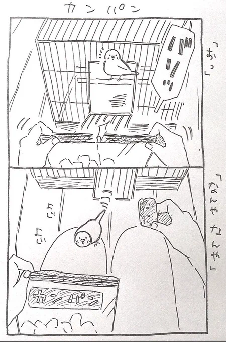 とっとことカンパン 