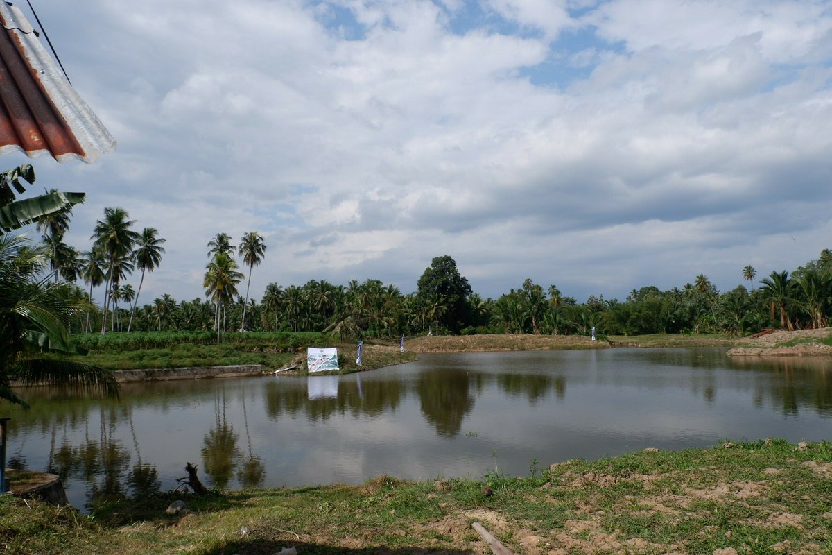 taufikmadjid71's tweet photo. Semoga embung ini dapat bermanfaat bagi masyarakat di Nagari, khususnya bagi para petani untuk dapat meningkatkan produksinya.
Embung ini nantinya juga dapat ditingkatkan manfaatnya sebagai destinasi wisata baru yg dikelola oleh BUMNagari.

Maju terus Desa ku
#KerjaMengabdiDesa https://t.co/VuoOg71brO