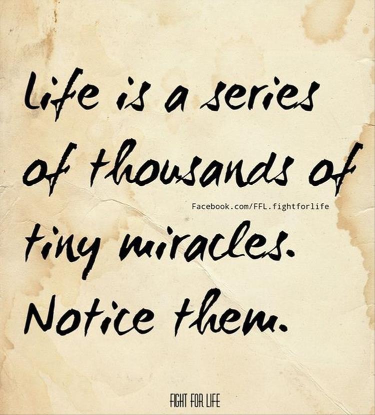 projectplaylab's tweet photo. Life...

#tinymiracles
#projectplaylab
#life https://t.co/zNiJCbV2c6
