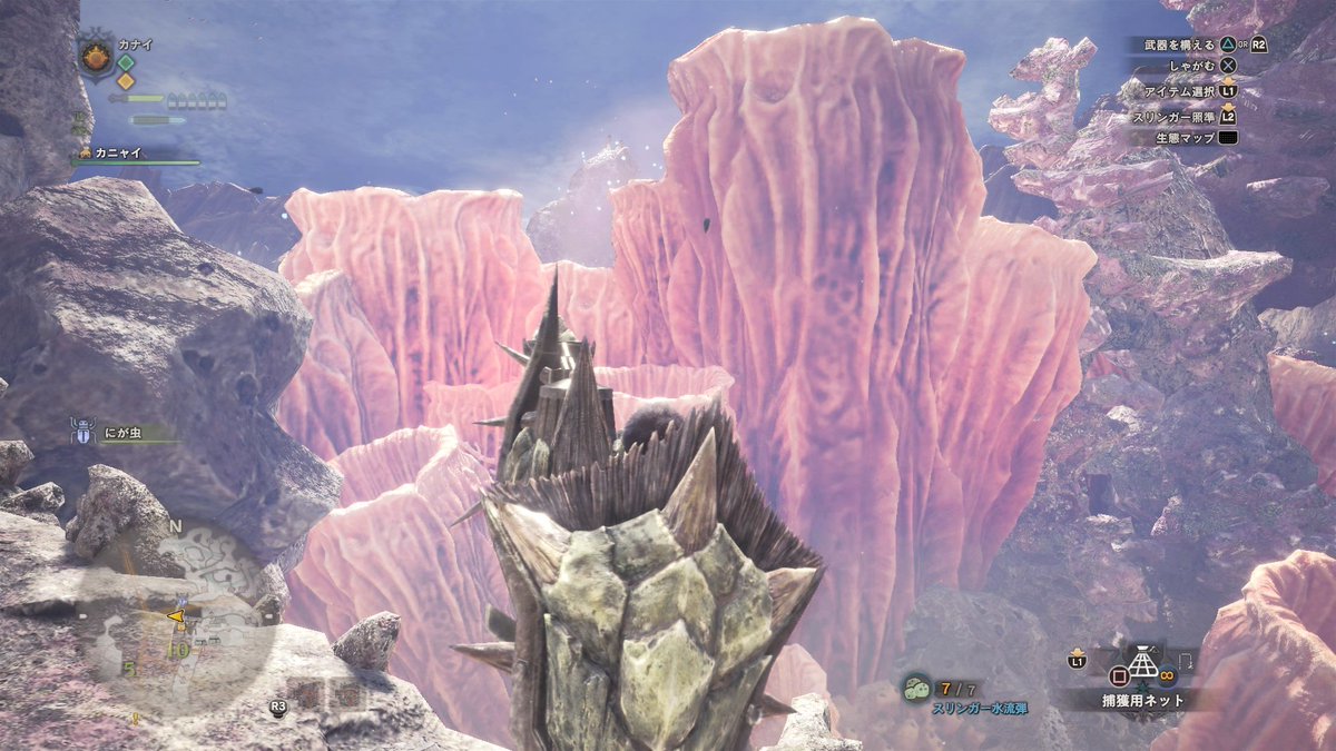 いろいろ 珊瑚礁の大地 279344 珊瑚礁の大地 キャンプ