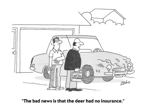 Fase__Insurance tweet picture