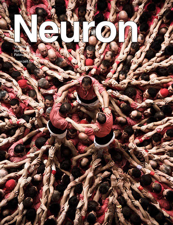 Neuron tweet media