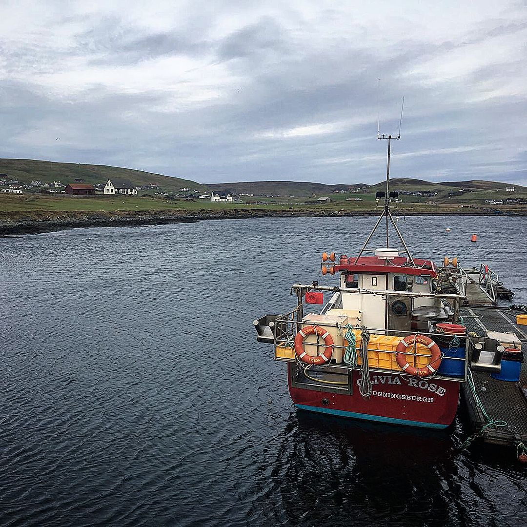 Fishboxuk's tweet photo. When you go to Shetland you will see that fishing has been a way of life for every family for generations. #shetland #fishing #wayoflife #shetlandmuseum #fishbox #bestfishintheworld https://t.co/ri8Jrgbih2