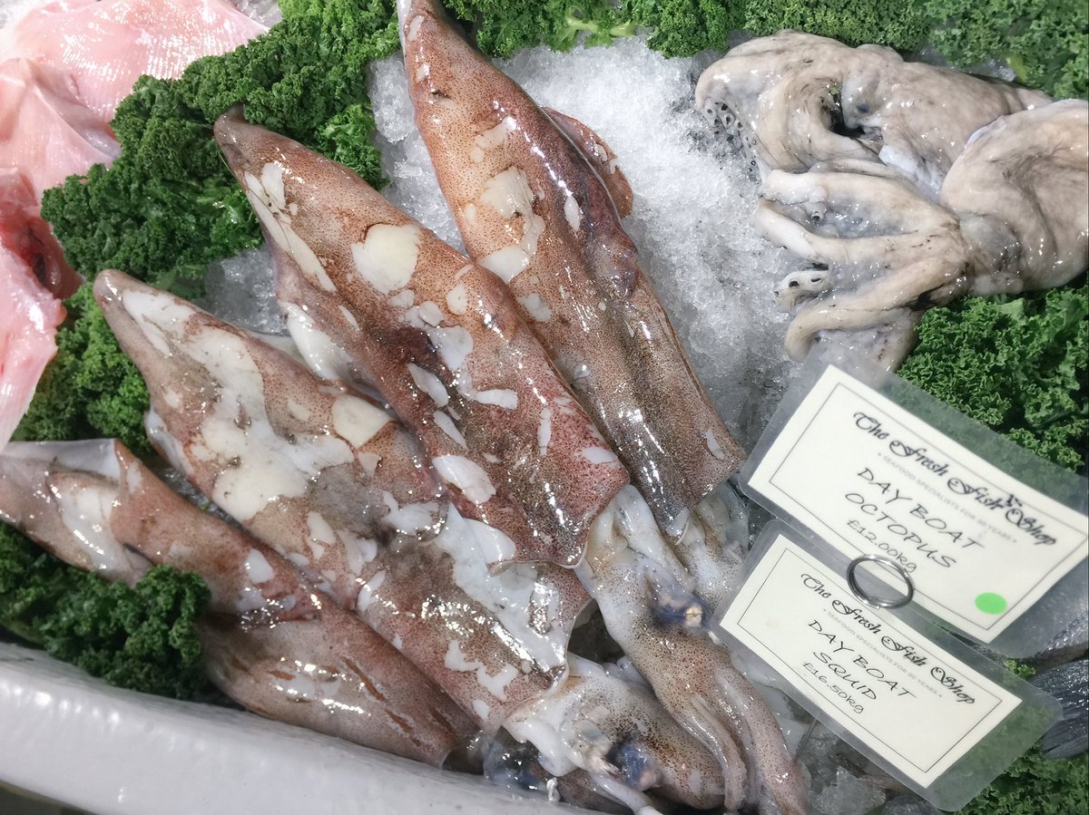 Don’t rock the boat!! @freshfishshop have squid 🦑 today. And if you’re not sure how to prepare, just ask! #foodie #bishopsstortford #somethingfishygoingon