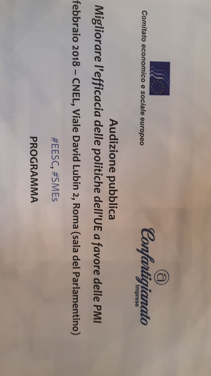 Audizione pubblica al CNEL