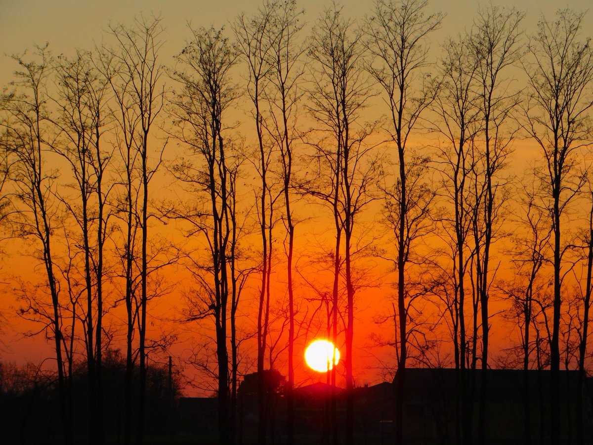 ViolinaStonata's tweet photo. Il tramonto di ieri sera
#cavamanara #campagnapavese #lagaba #sunset https://t.co/hMDNnxcBdm