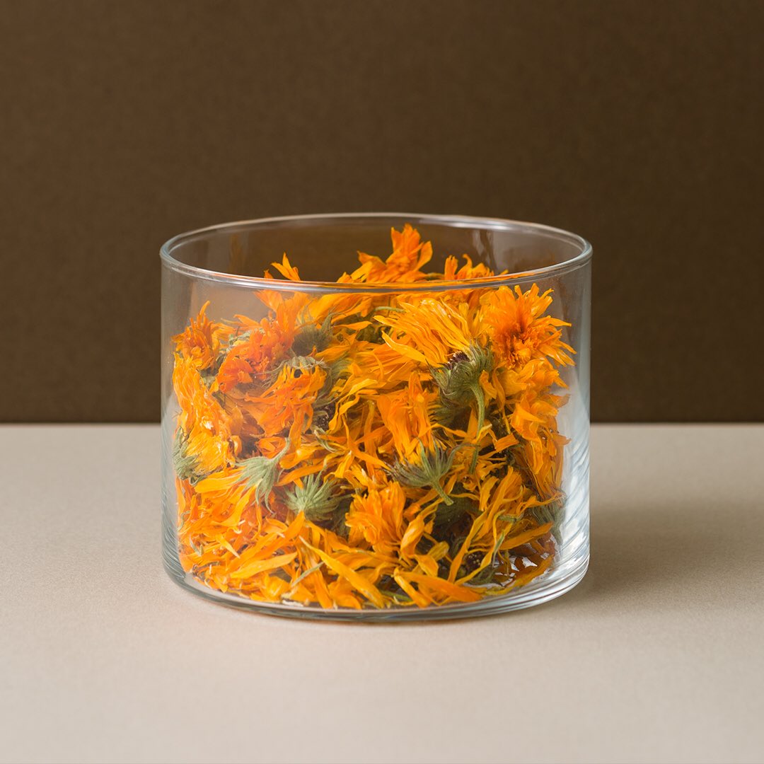 Shiro カレンデュラリペアクリーム 1-3営業日発送）国内正規品 SHIRO