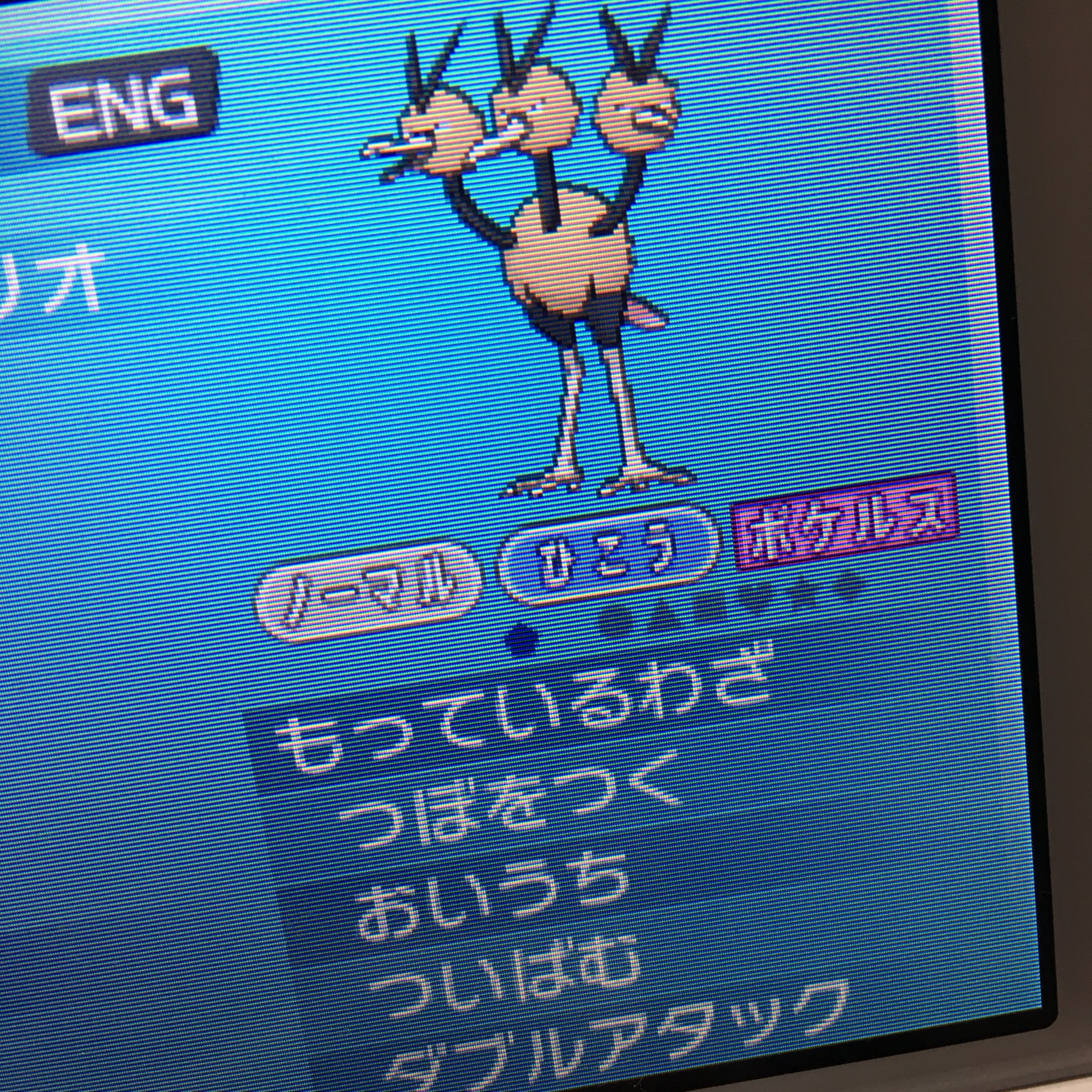 画像 本日のミラクル交換 ポケルスに感染してるドードリオを韓国の方から頂きましたww とりあえずボックス保護 嬉しいー O T Co Tcko Matomehub まとめハブ 画像 本日のミラクル交換 ポケルスに感染してるドードリオを韓国の方から頂きましたww とりあえずボックス保護 嬉しいー O T Co Tcko Matomehub まとめハブ