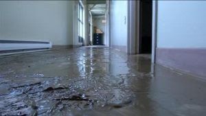 TheCleanUpGuys's tweet photo. Sewage Cleanup and Sewage Removal in Chicago IL https://t.co/gMgCAH6FKg
#sewagebackupcleanup #sewageremoval https://t.co/jLYjqDdgXg