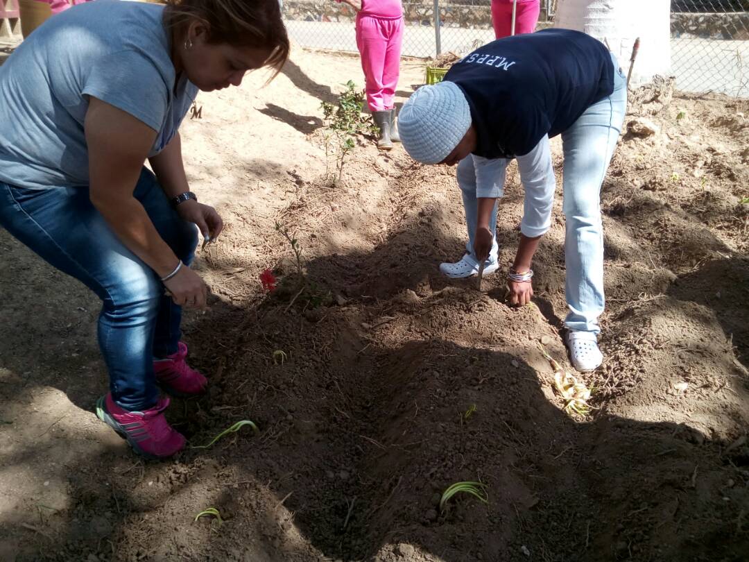 Regioncapital3's tweet photo. 04/02/2018 - El Inof forma parte del proyecto de @irisvarela Agro industrial en conjunto con  @liceblanco @yipsi y la vice Mirelis con la siembra de cebollin y cebolla https://t.co/DKzKOIrZHy