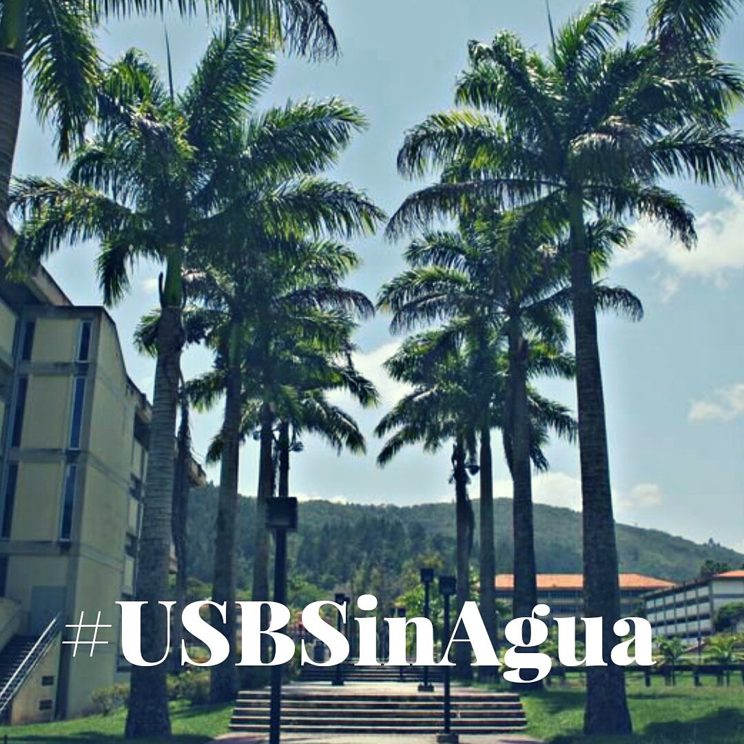 campusb's tweet image. La Dirección de Servicios activó hoy #8Feb el protocolo ROJO en Sartenejas:  

Rutas urbanas e interurbanas de personal y estudiantiles saldrán a las 11:10 AM 

Las rutas urbanas de Coche, Baruta y Bellas Artes se atenderán hasta las 12:00 m

Comedores: suspendido el servicio