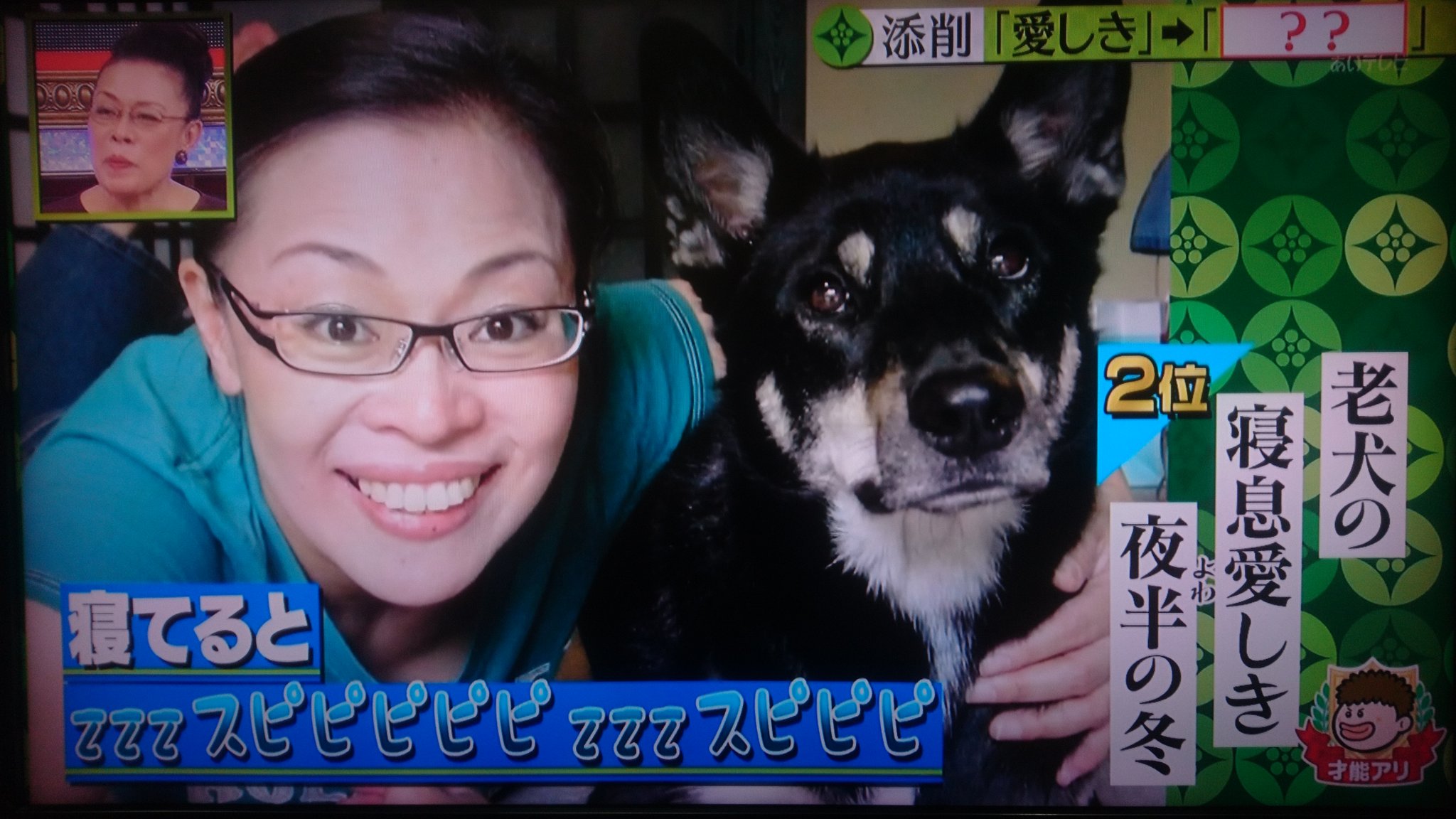 ペンギンズ プレバト 俳句 1月18日 犬と雪 夏井いつき 先生 柴田理恵 さん フルーツポンチ 村上健志 さん 東国原英夫 さん 昇格試験 T Co Oscjjiydtz Twitter