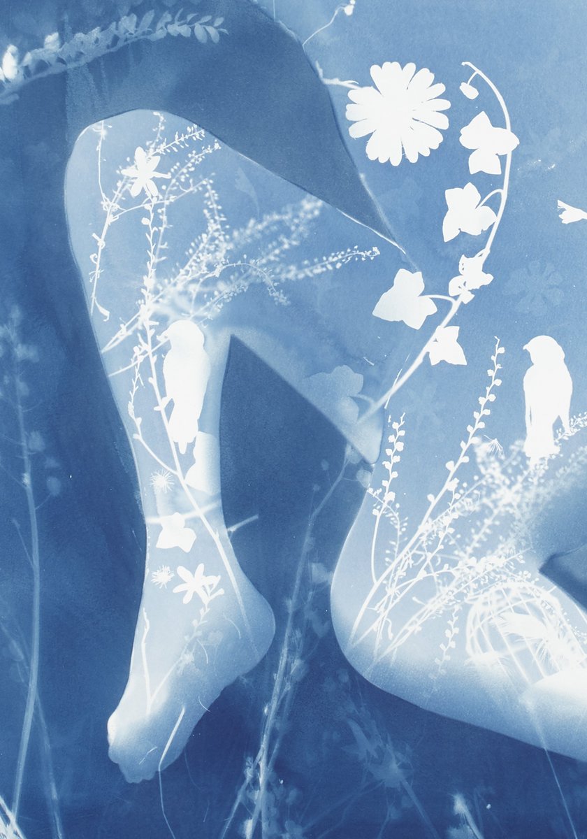 create_arts's tweet image. This weekend SCARBOROUGH OPEN STUDIOS AND VISUAL ARTS burst into life; click here for full details: us1.campaign-archive.com/?u=36766c26f29…

Feb 9th, 10th and 11th....! Times vary...