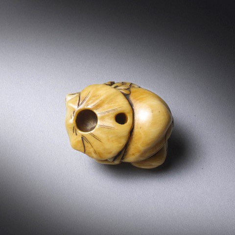 SteveSlyJapArt's tweet photo. latest arrival at Steve Sly Japanese Art - https://t.co/BFgQuBt9lW -
#antique #art #Japanese #japan #japaneseworksofart #Steveslyjapaneseart
#stevesly #ivory #marine #netsuke #shells #conch #edoperiod #seashells #onlinegalleries #sellingantiques #lapada https://t.co/7Ol70ZxuFe