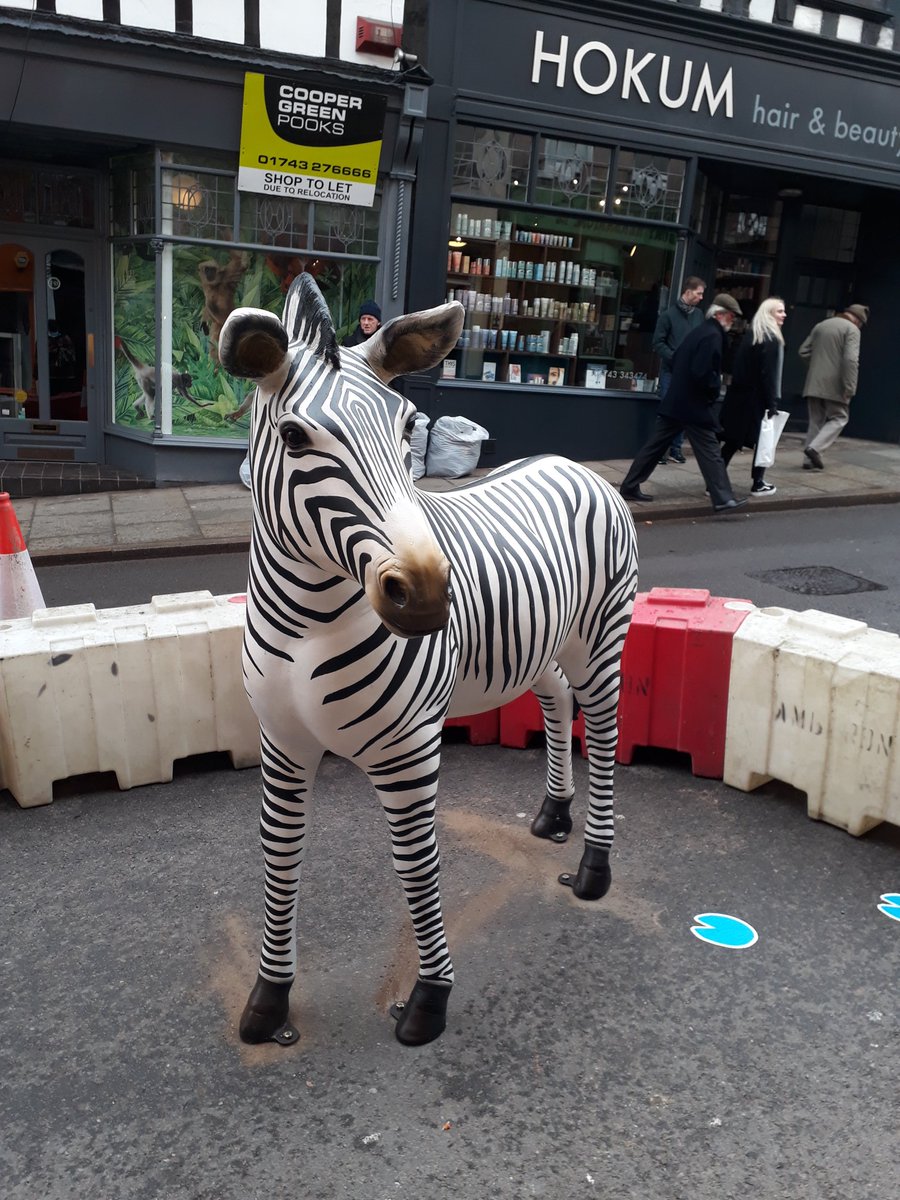 WChoiceShrews's tweet image. Shrewsbury has gone wild #wildcop #wylecop #shrewsbury (2/2)