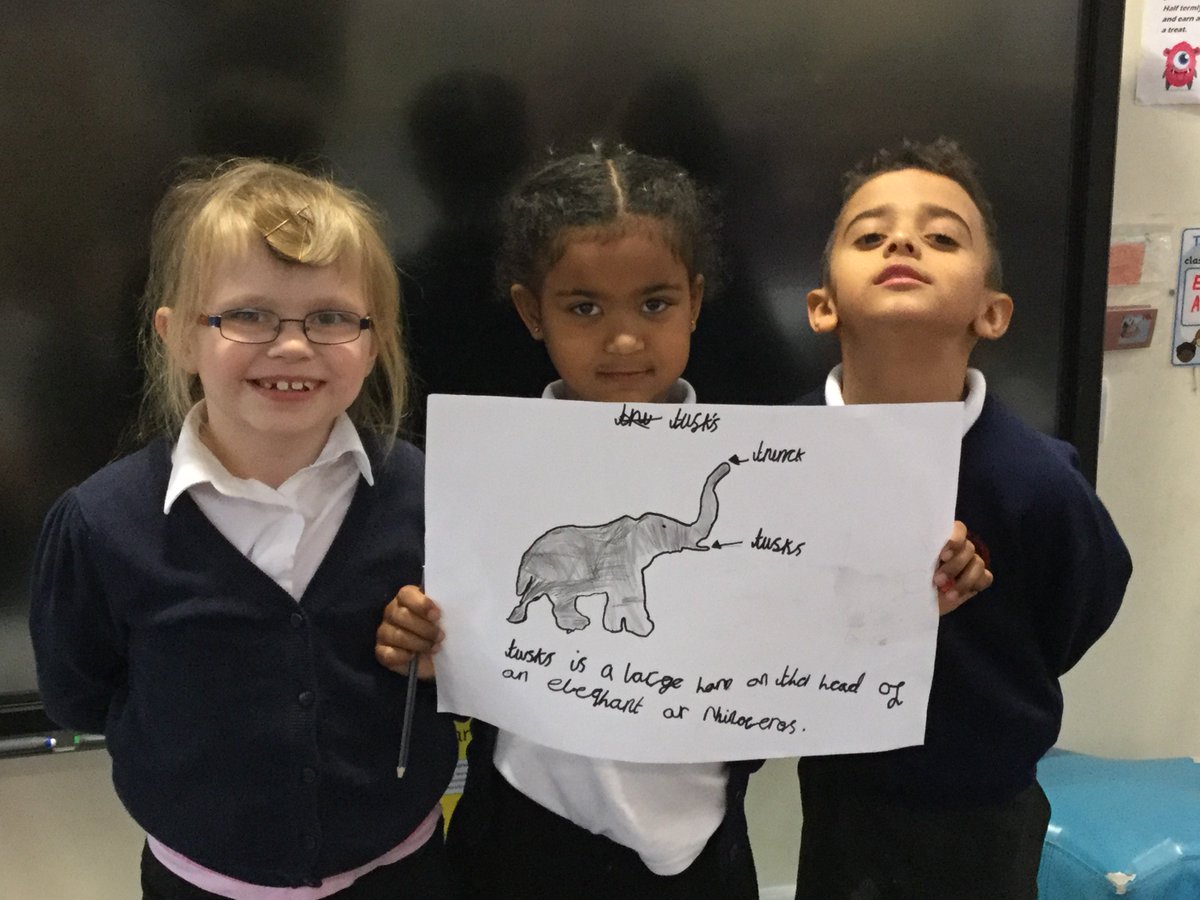 SunnysideSA's tweet photo. Year 2 exploring science vocabulary. #science #research #classifyinganimals https://t.co/aq9TdRzIMt