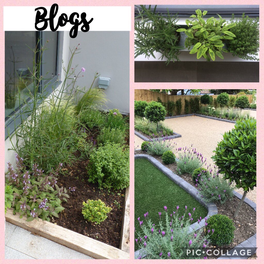 plantingworks's tweet photo. This afternoon Iโve been writing more blogs coming out soon on my website https://t.co/BBY3dHFYgb #plantingworks #blog #garden #inspirations #ideas #advice https://t.co/SlO6yO9GWt