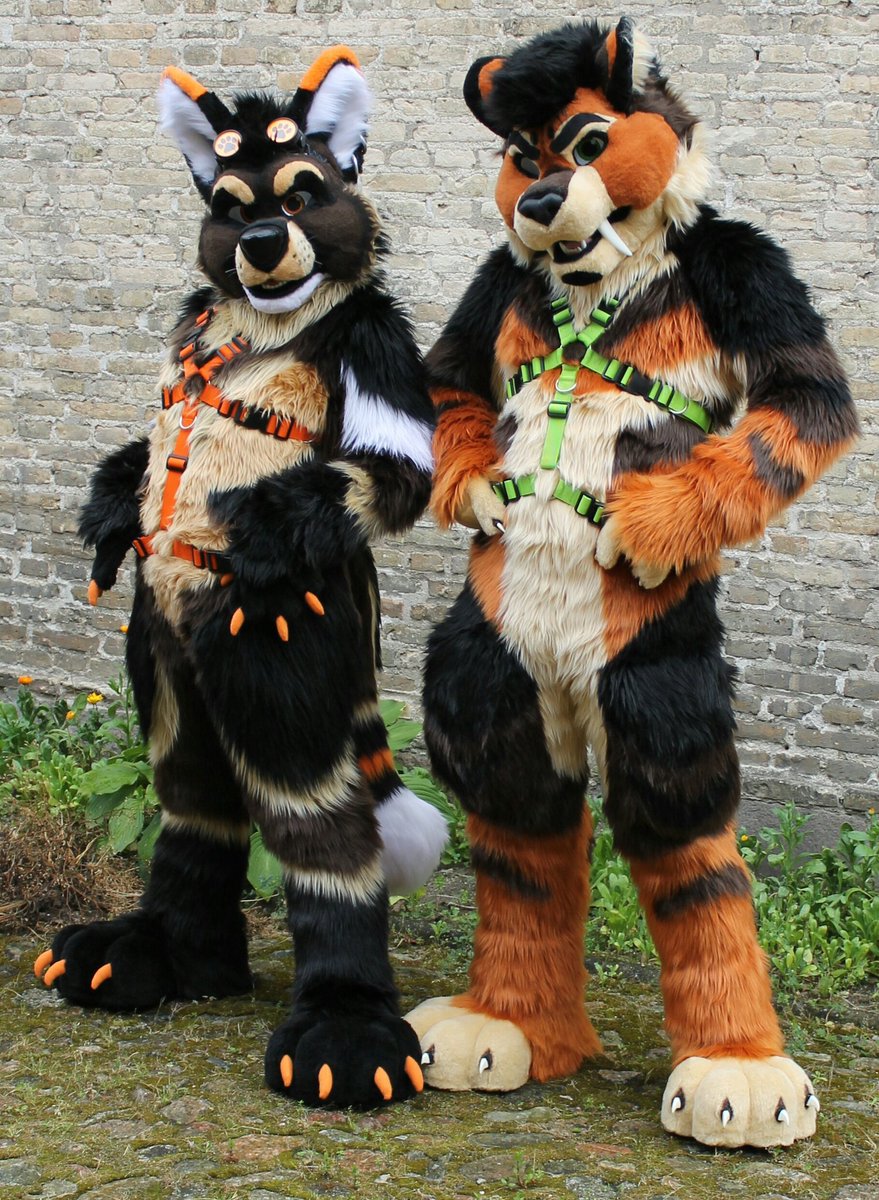 TitustheTiger's tweet image. We heard you guys like fursuit harnesses, muzzles and collars 😉  Check out @KareliaHarness 👍❤