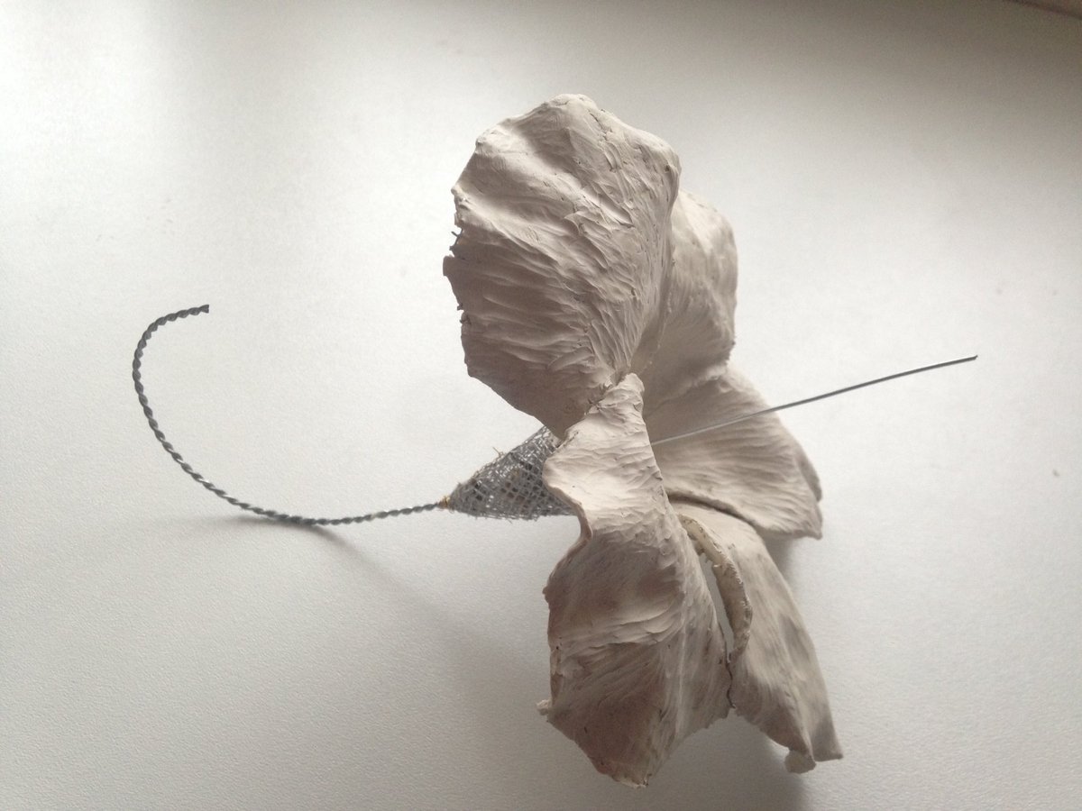 HallDrawing's tweet image. #hibiscus maquette. #plastaline