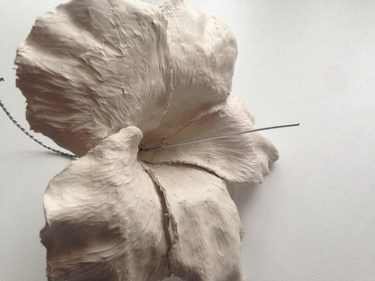 HallDrawing's tweet image. #hibiscus maquette. #plastaline