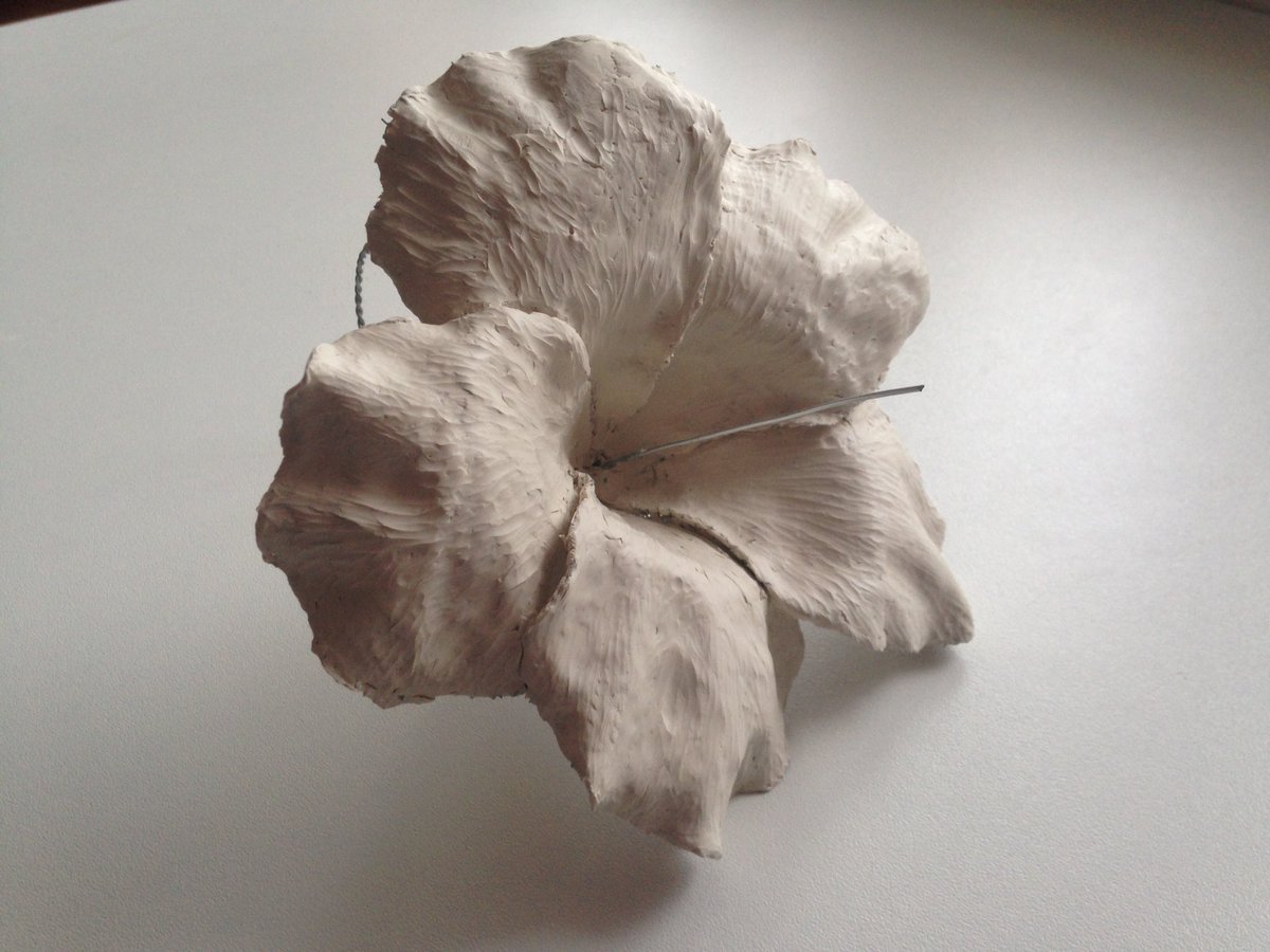 HallDrawing's tweet image. #hibiscus maquette. #plastaline
